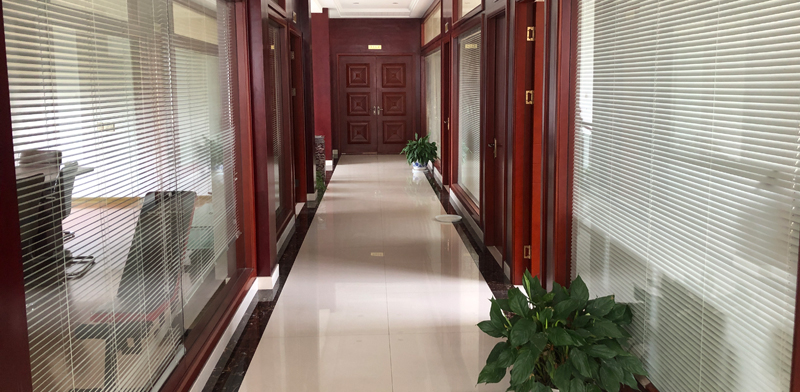 ���Y�t�S��